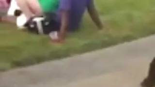 Том илжиг Latina том дагуурын халсан нь залуугийн хойлог өмнө галзуугийн