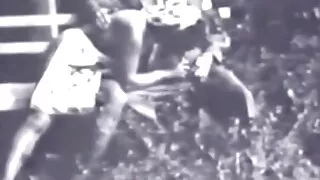 Шаргал Гүйцсэн Нь Хар Үстэй Нь Төгс Cunnilingus